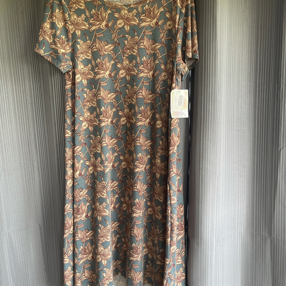 LulaRoe Carly XL